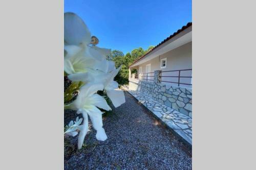 Apartamento Villa Volimar