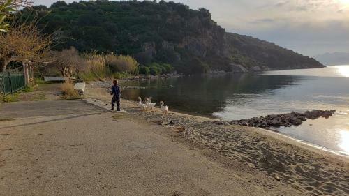 Apartamento Ancient Epidavros On The Beach With Large Terraces