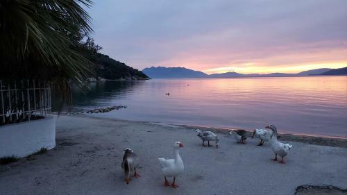 Apartamento Ancient Epidavros On The Beach With Large Terraces