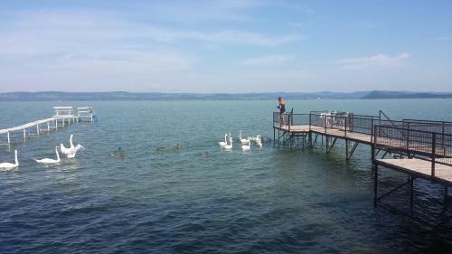 Hostal Gr�nit Villa