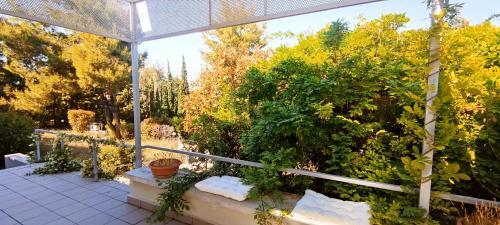 Villa Philip's Guest House!