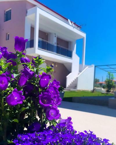 Siblings Apartments