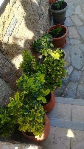 Apartamento Paressa's House