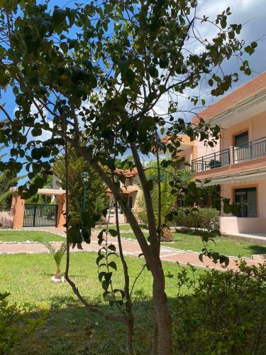 Alexandra Apartments