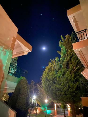 Alexandra Apartments