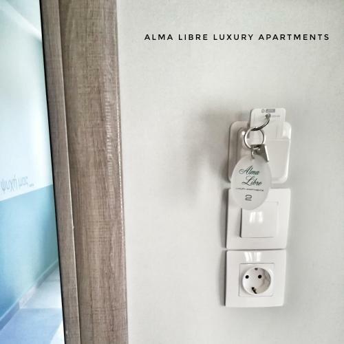 Alma Libre Luxury Apartment 2