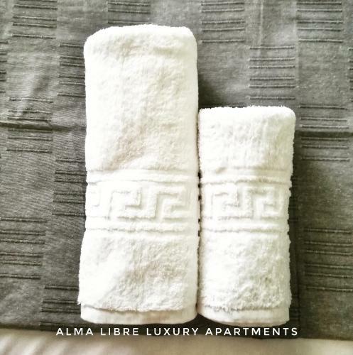 Alma Libre Luxury Apartment 2