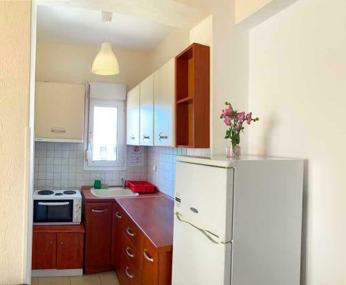 Helena's Apartments - Nikiti