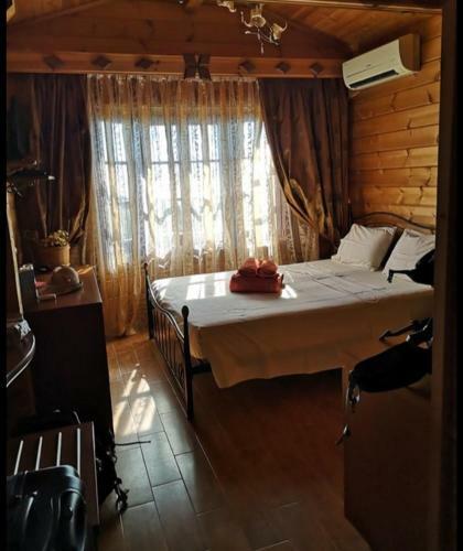 Hostal Vigla Ias 2