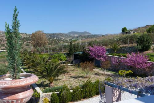 Villa Casa Del Sol Syros