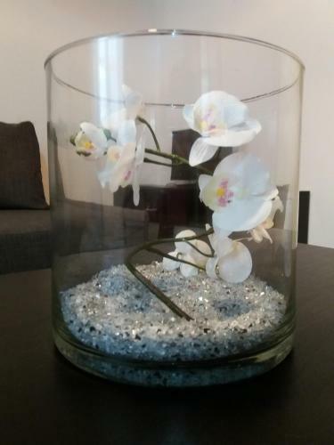 Apartamento Radovoli