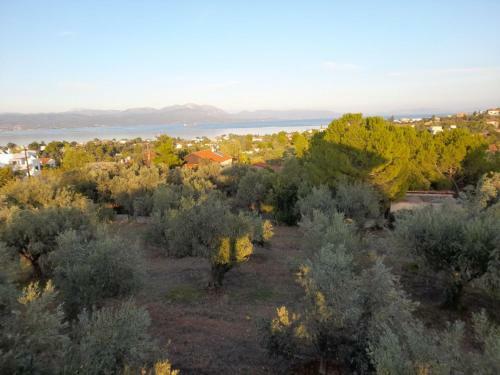 Xenia's Seaview House