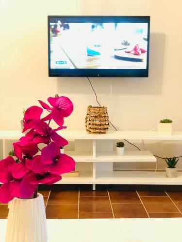 Anemos Apartment Palio