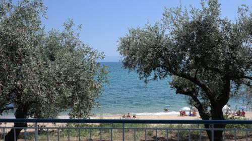 Apartamento Rhombus By The Sea
