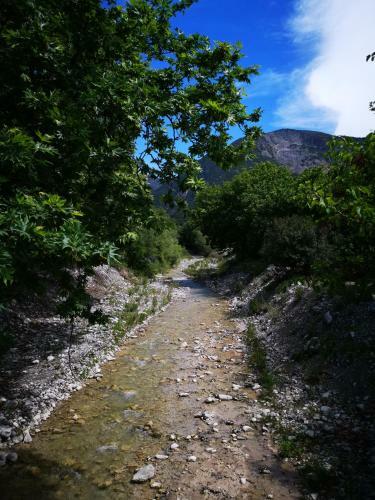 Blumenhaus (spiti Louloudia)