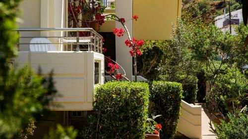 Lefka Apartments