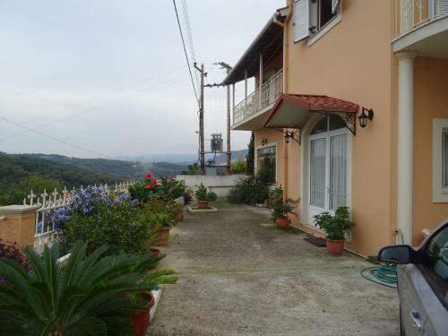 Pitsa's House