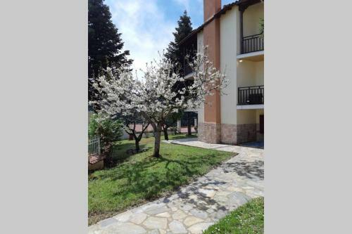 Apartamento ???????? ????? ?? ??? ??? ????