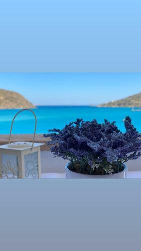 Petridi Maria Suites & Apartments