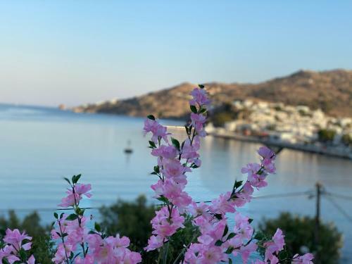 Petridi Maria Suites & Apartments