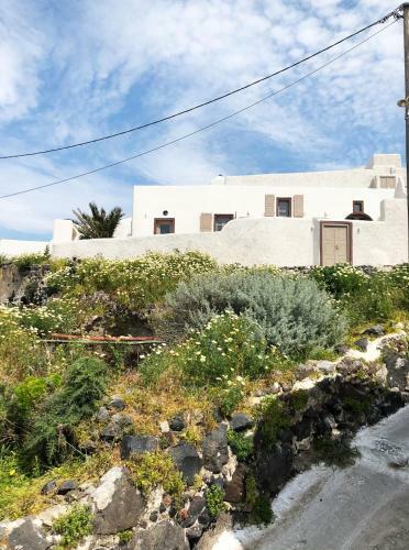 Hostal White Grape Suites