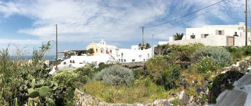Hostal White Grape Suites