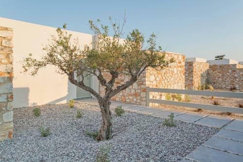 Hotel T7 Luxury Villas Paros