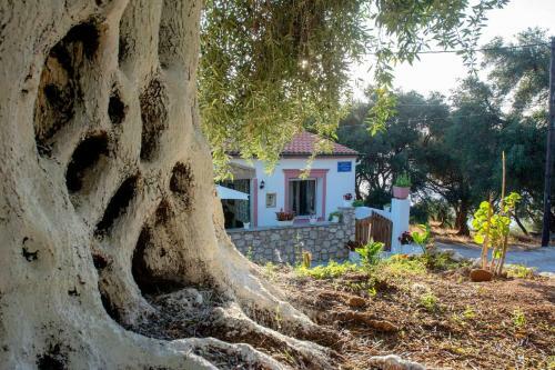 Mantzaros Country House