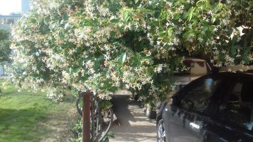 Apartamento Christinas Garden