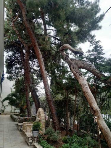Apartamento Vacations In Patra