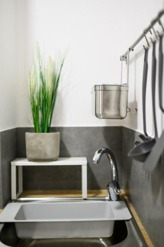 Apartamento Magnolia City Suite