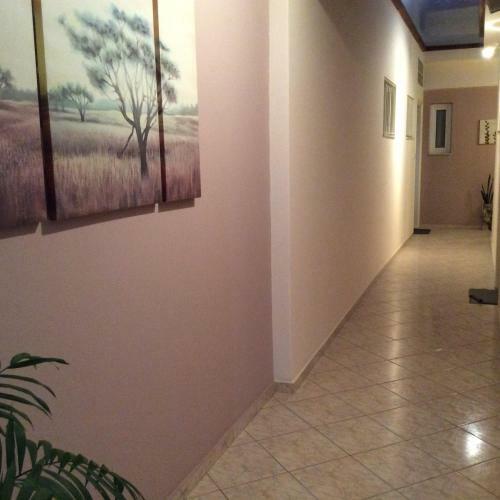Lovely Apartments Del