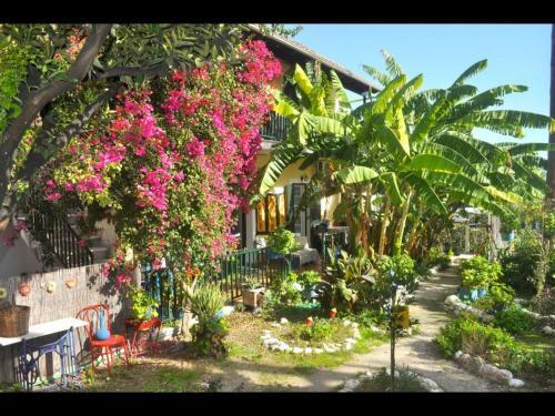 Apartamento Pension Telis Und Brigitte 3