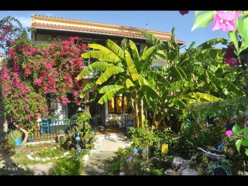 Apartamento Pension Telis Und Brigitte 3