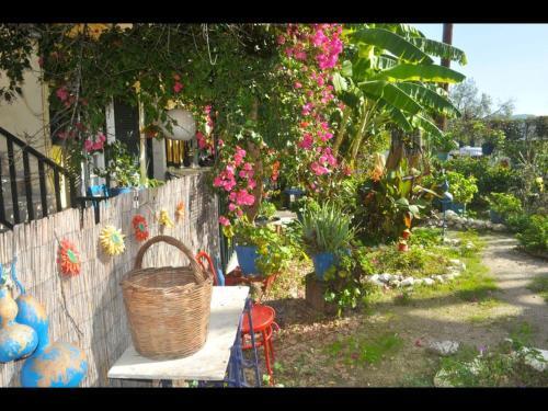 Apartamento Pension Telis Und Brigitte 3