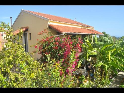 Apartamento Pension Telis Und Brigitte 3