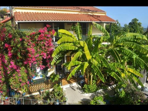 Apartamento Pension Telis Und Brigitte 3