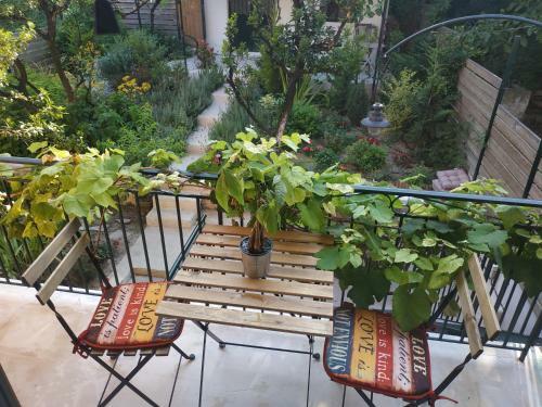 Corfu Pelekas Apartment 2