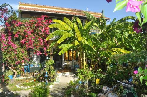 Apartamento Pension Telis Und Brigitte 1