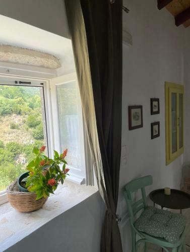 Ariti's House