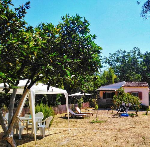 Elia House