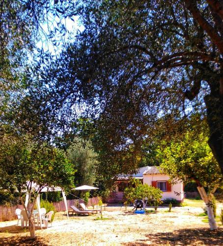 Elia House