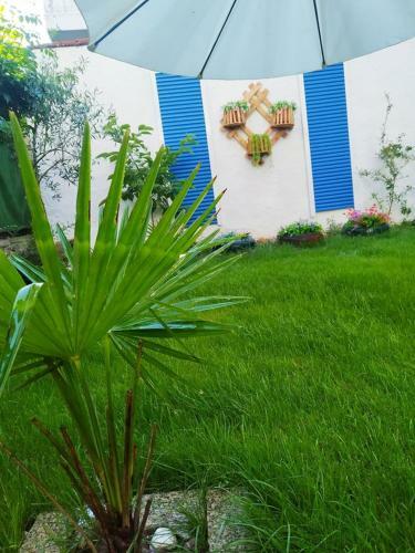 Apartamento George's House