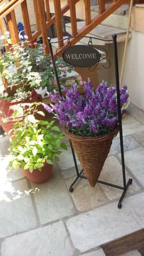Apartamento Stavros House