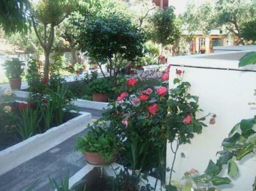 Apartamento Villa Irida