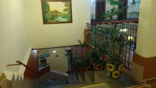 Hotel Plaza Real