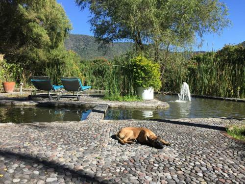 Los Naranjos Hotel Boutique