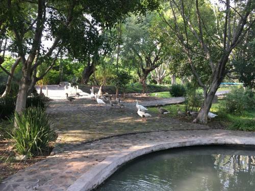 Los Naranjos Hotel Boutique