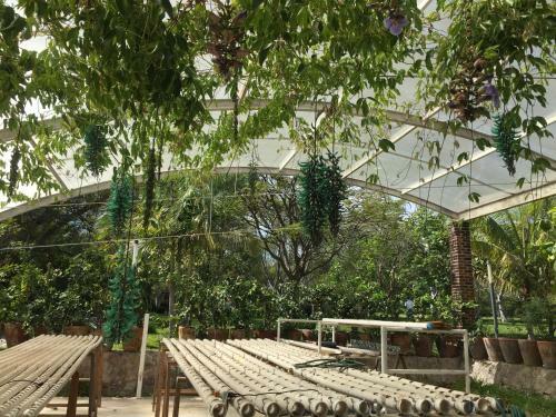 Los Naranjos Hotel Boutique