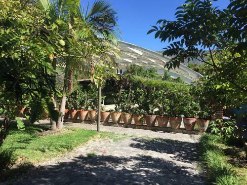 Los Naranjos Hotel Boutique